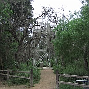 One of the observation towers at Santa Ana N.W.R.